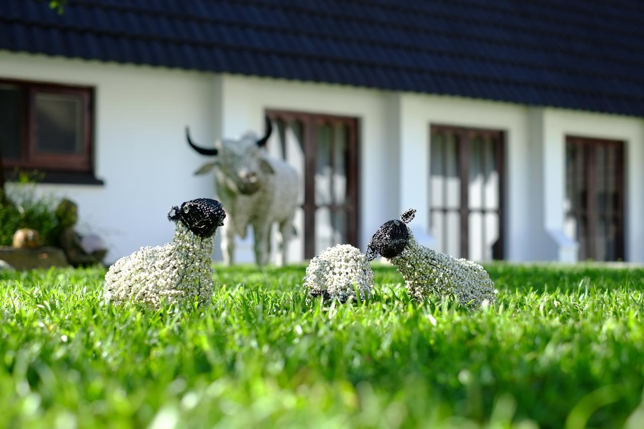 Kilmorna Manor Guest House Shoemanskloof Kültér fotó